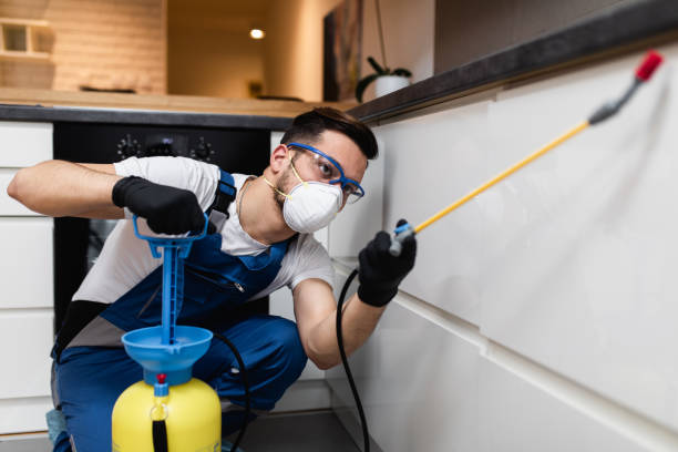 Best Pest Prevention Services  in Clarion, IA