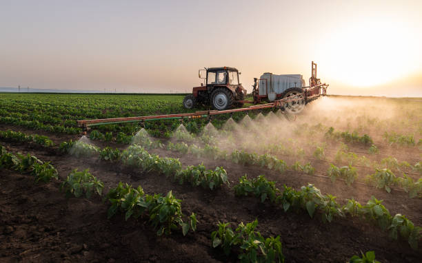 Best Wildlife Control Services  in Clarion, IA