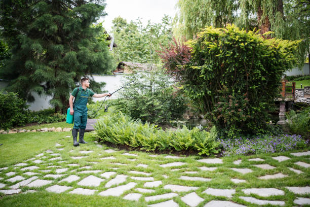 Best Best Pest Control Companies  in Clarion, IA