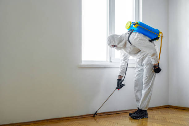 Best Commercial Pest Control Services  in Clarion, IA