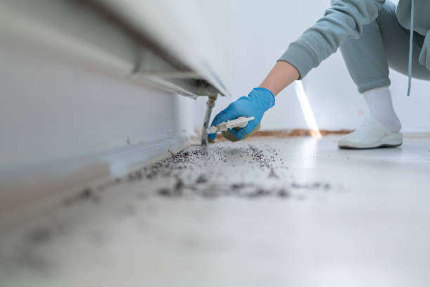 Best Pest Removal Services  in Clarion, IA
